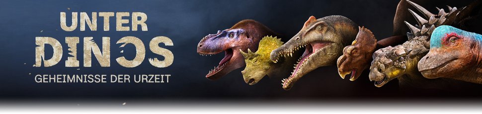 Unter Dinos – Geheimnisse der Urzeit