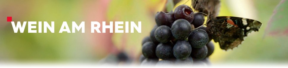 Wein am Rhein