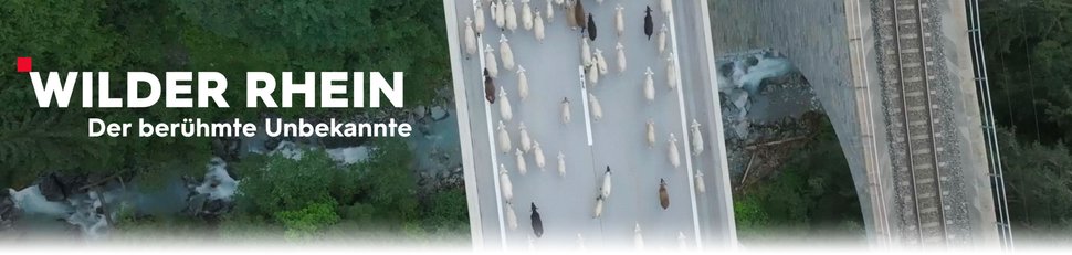 Wilder Rhein – Der berühmte Unbekannte Wilder Rhein – Der berühmte Unbekannte