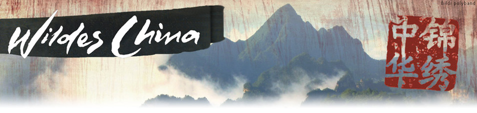 Wildes China Wildes China