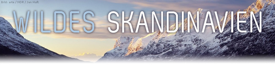 wildes skandinavien wildes skandinavien