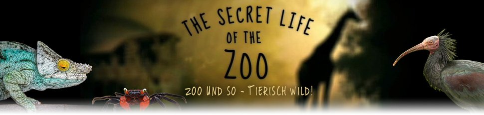 Zoo und so – Tierisch wild!