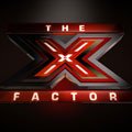 Enrique Iglesias in US-Version von "X-Factor"? – Latino-Star möglicherweise als Moderator der FOX-Show – Bild: FOX