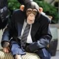 Tierschützer kritisieren Affen-Auftritt bei "Germany's Next Topmodel" – "Filmreife Kussszene" mit einem Schimpansen – Bild: ProSieben/Oliver S.