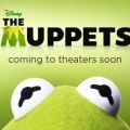 Disney lässt die Puppen tanzen: „Muppets“-Kinostart im November – Comeback von Kermit & Co. – Bild: disney.go.com