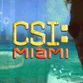 Neue Figuren bei "C.S.I.: Miami" und "The Mentalist" – Christian Clemenson und Terry Kinney in Gastrollen – Bild: CBS Broadcasting, Inc.