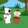 "Family Guy" droht Verbannung aus Venezuela – Trickserie propagiere Marihuana-Konsum – Bild: Fox Television