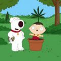 „Family Guy“ droht Verbannung aus Venezuela – Trickserie propagiere Marihuana-Konsum – Bild: Fox Television