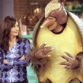 Weihnachten in Serie(n): Episode 10 – „Friends – Das Weihnachtsgürteltier“ – Bild: Warner Bros. Television