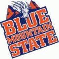 MTV zeigt Comedyserie „Blue Mountain State“ – Erste fiktionale Serie der Sendergeschichte ab April – Bild: MTV