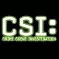 Hauptdarstellerin verlässt "CSI" (Achtung, Spoiler!) – Vertragskündigung angeblich aus "inhaltlichen Gründen" – Bild: CBS