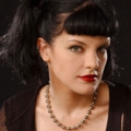 Pauley Perrette verlängert Vertrag bei „Navy CIS“ – Noch zwei Hauptdarsteller verhandeln – Bild: CBS