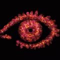 Manege frei für die finale britische "Big Brother"-Staffel – Noch mehr gläserne Badezimmerwände – Bild: Channel 4 Manege frei für die finale britische "Big Brother"-Staffel – Noch mehr gläserne Badezimmerwände – Bild: Channel 4