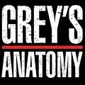 Casting-News bei "Grey's Anatomy" (Achtung, Spoiler!) – Ein Nebendarsteller wird fester Teil des Ensembles – Bild: ABC