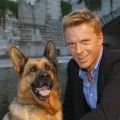 "Kommissar Rex": Neuer Commissario, neuer Hund – Kaspar Capparoni hört auf – Bild: Bild:ZDF/Milenko Badzic