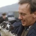 "Der Doktor und das liebe Vieh": Comeback für James Herriot – BBC dreht Miniserie – Bild: bbcgermany.de