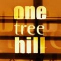 "One Tree Hill" erhält komplette, achte Staffel – The CW bestellt 22 Episoden, weitere Fortsetzung möglich – Bild: The CW