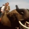 Dieter Bohlens Elefantenritt: PETA in Sorge um RTL-Publikum – Zuschauer waren "in großer Gefahr" – Bild: YouTube Dieter Bohlens Elefantenritt: PETA in Sorge um RTL-Publikum – Zuschauer waren "in großer Gefahr" – Bild: YouTube