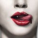 13th Street zeigt Vampir-Serie "True Blood" – Neues Logo und neue Programme beim Suspense-Kanal – Bild: HBO