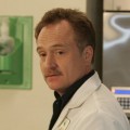 Bradley Whitford – Bild: Puls 4 Bradley Whitford – Bild: Puls 4