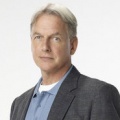 Mark Harmon – Bild: CBS Television Mark Harmon – Bild: CBS Television