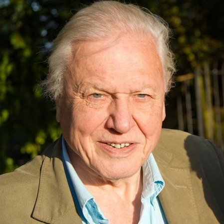 Sir David Attenborough – Bild: Geo Television