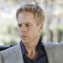 Greg Germann – Bild: ABC Studios