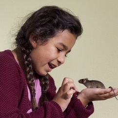 Hiba Ghafry – Bild: ZDF/Lemming Film