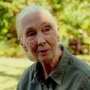 Jane Goodall – Bild: ZDF/Alexander Hein