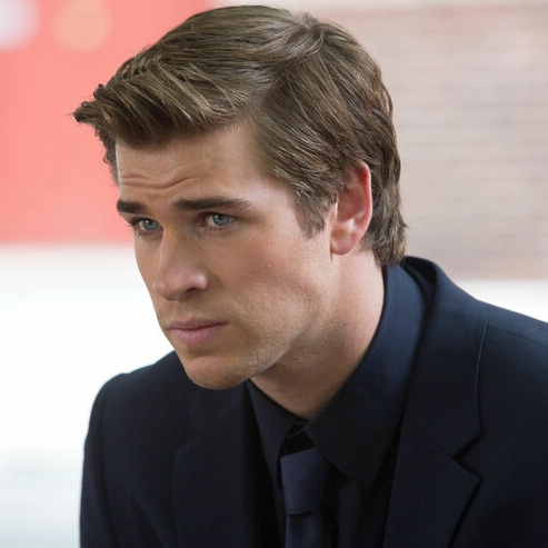 Liam Hemsworth – Bild: Puls 8