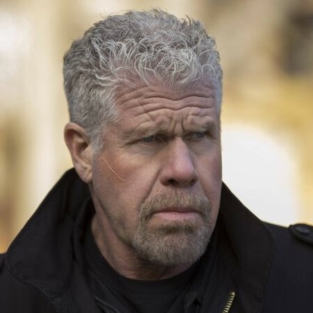 Ron Perlman – Bild: MG RTL D /​ Sony Pictures Television Inc. /​ Open 4 Business Productions LLC