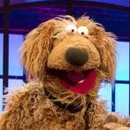 Wiwaldi – Bild: WDR/Klaus Görgen