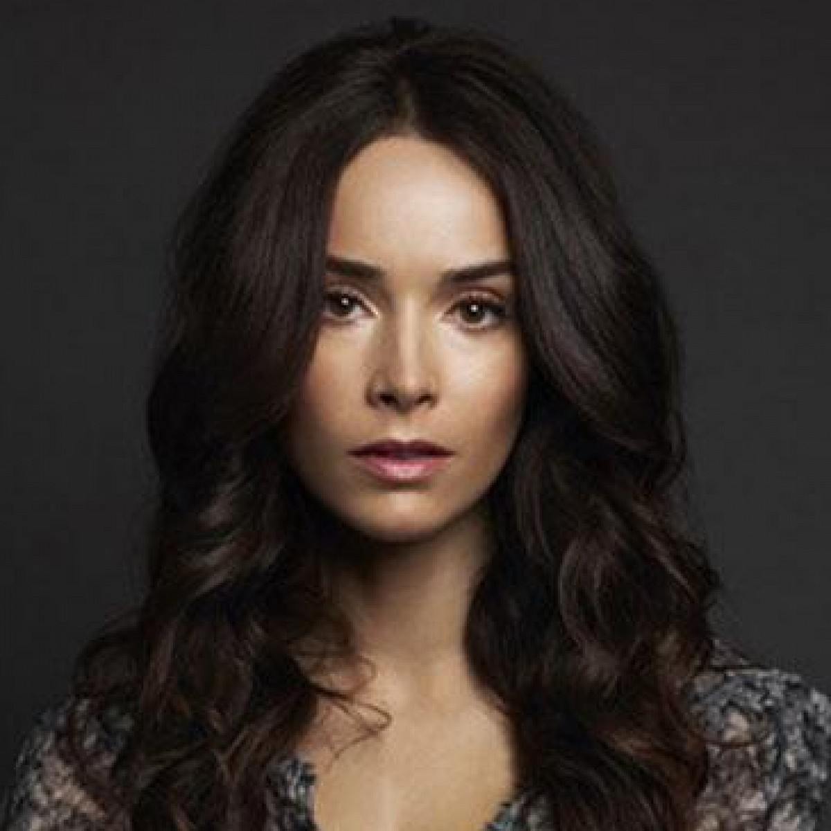 Abigail Spencer Rectify Ubernimmt Hauptrolle In Zeitreisepilot Time Bei Nbc Fernsehserien De Averted with the mother as she is a brunette. abigail spencer rectify ubernimmt