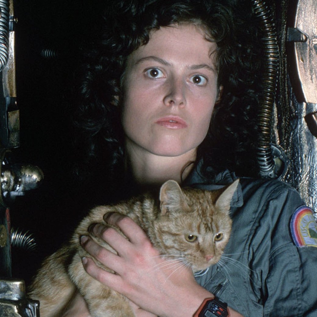 „Alien“: Ein Rückblick auf die legendäre Scifi-Horrorsaga – Von blutrünstigen Aliens, einer taffen Überlebenskämpferin und existenziellen Fragen – Bild: 20th Century Studios