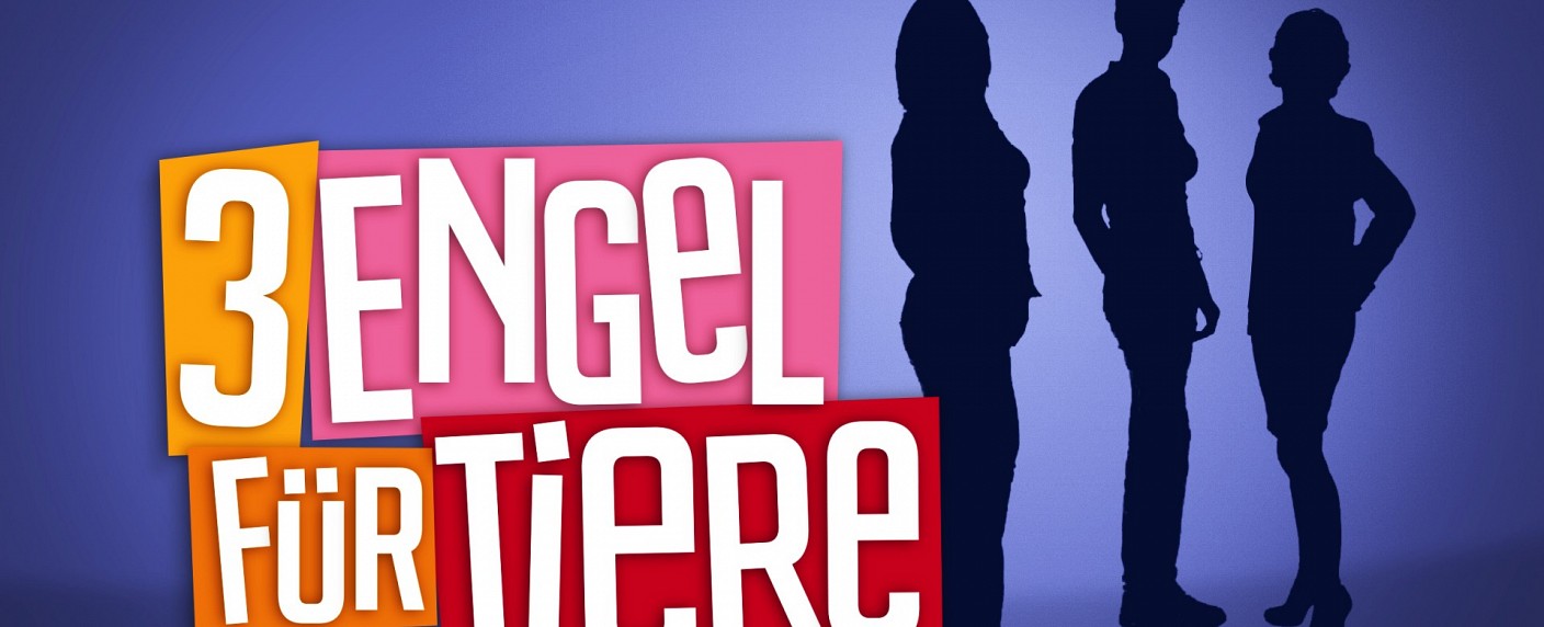 „3 Engel für Tiere“: Coaching-Doku kehrt im Februar zu VOX zurück – Acht neue Folgen mit den Tiertrainern – Bild: VOX