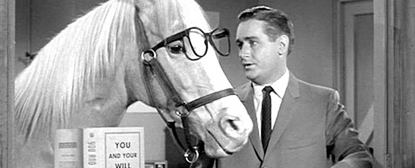 „Mr. Ed“-Star Alan Young im Alter von 96 Jahren verstorben – Jahrzehntelang die Originalstimme von Dagobert Duck – Bild: YouTube/​Screenshot