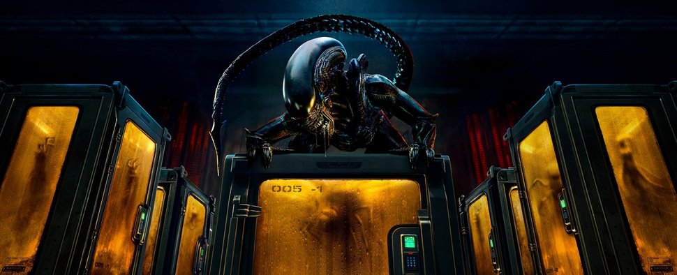 „Alien: Earth“ – Bild: Disney+