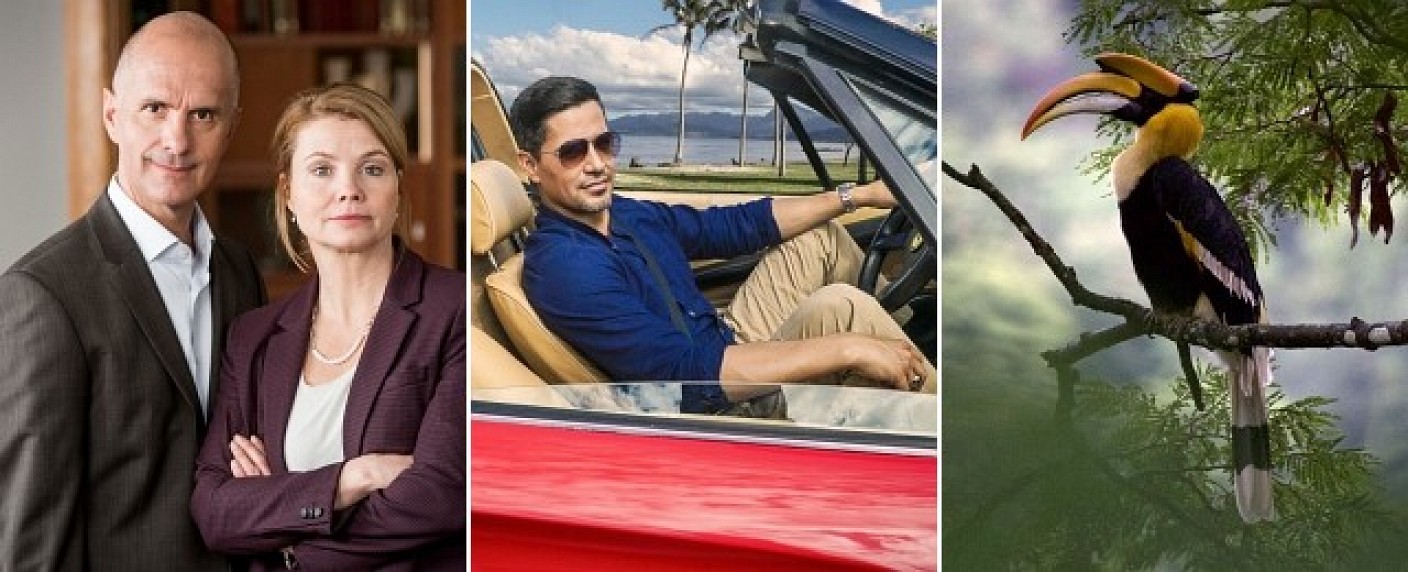 Die 7 wichtigsten Serien im April – Von Naturwunder bis Nachtschwestern, von Magnum bis Merz – Bild: ZDF/​CBS/​Netflix