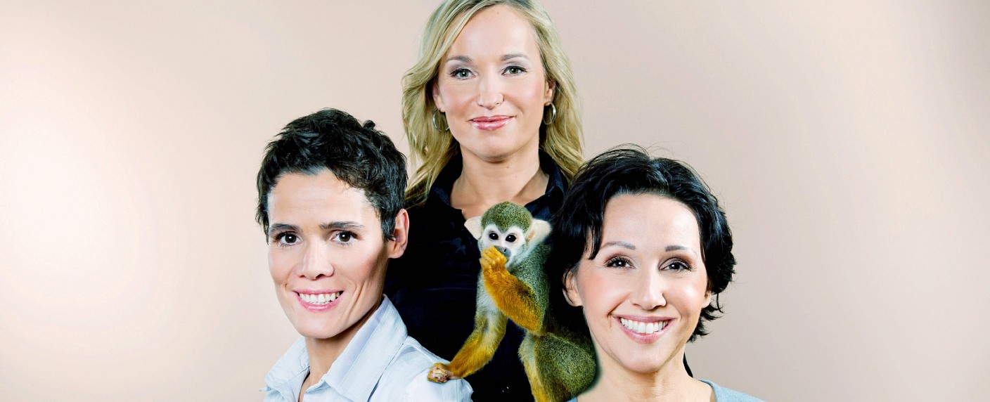 „3 Engel für Tiere“: Neue Folgen bei VOX im Februar – Weitere Nothilfe für Katzen, Schweine und Papageien – Bild: VOX/​Kirstin Günther