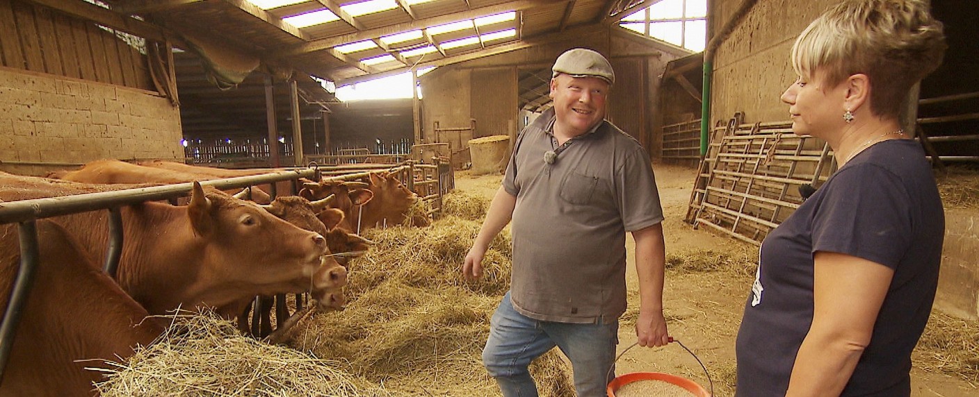 Quoten: Starke RTL-Bauern müssen sich ZDF-Krimidrama nur knapp geschlagen geben – Schwacher Start für neue Sat.1-Soap, Aufschwung für VOX-Musikdokus – Bild: MG RTL D