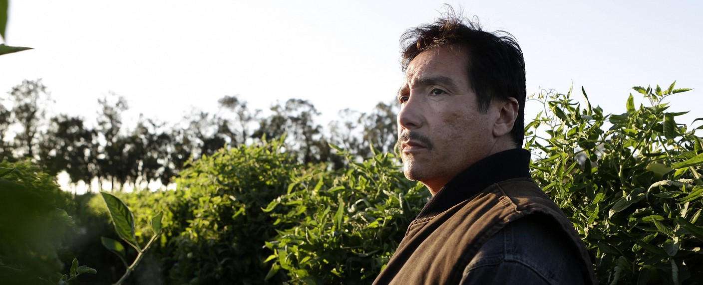 „American Crime“: Premiere der dritten Staffel bei 13th Street im Juni – Ausbeutung der Ärmsten ist Hauptthema – Bild: ABC/​Nicole Wilder