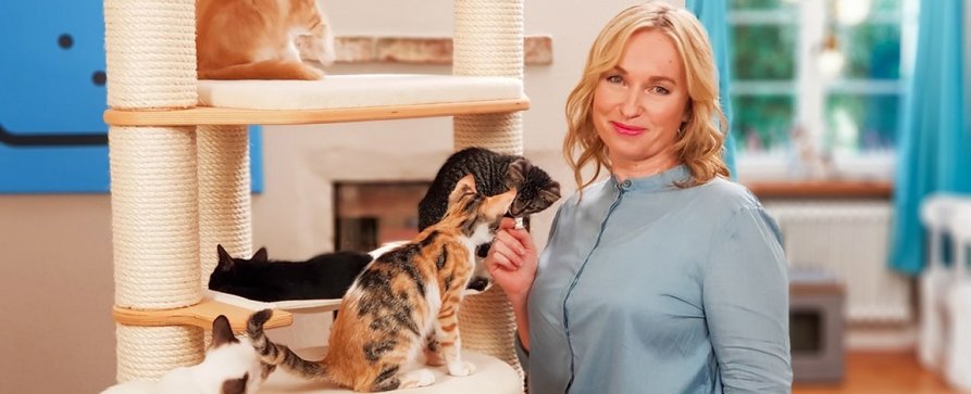 VOX eröffnet „Die Katzen-Kita“ – Neue Dokureihe mit Katzenexpertin Birga Dexel – Bild: TVNOW /​ DOCMA TV