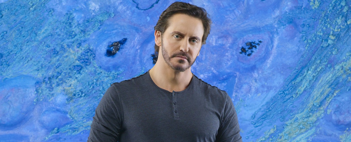 Casting-Ticker: Charles Mesure wird bei „Castle“ beklaut – Vanessa Williams verdreht Eli bei „Good Wife“ den Kopf – Bild: ABC