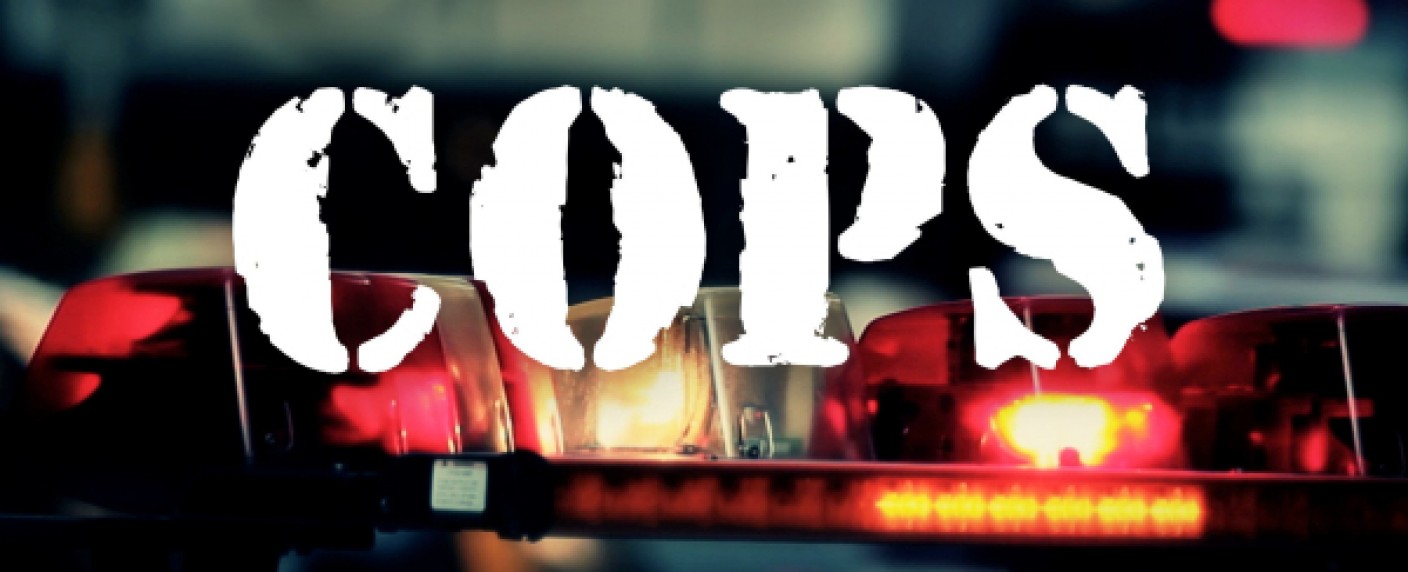 „Cops“: Langlebige, umstrittene Reality-Serie nach 33 Jahren eingestellt – Verherrlichung von hartem Polizeivorgehen nach George Floyds Tod untragbar geworden – Bild: Paramount Network