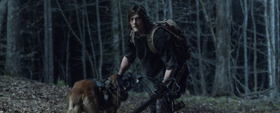 Daryl (Norman Reedus) auf der Pirsch – Bild: AMC