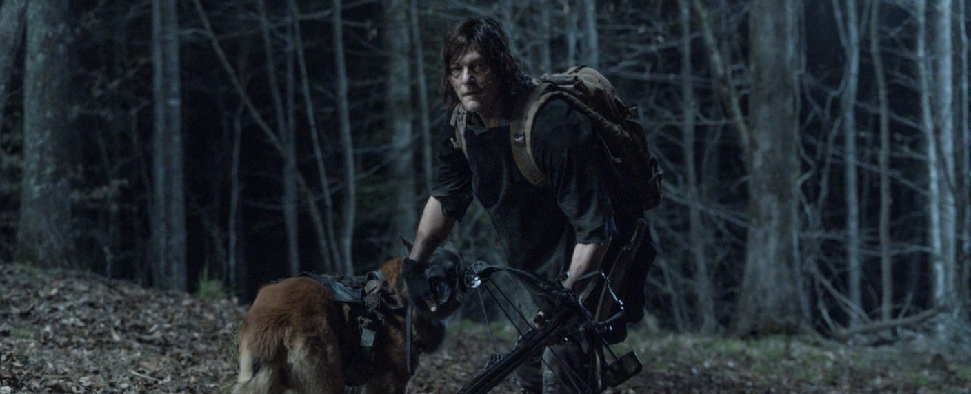 „The Walking Dead“: Daryl entdeckt ein bekanntes Gesicht unter den Reapern – Review – Unser Recap zur vierten Folge der elften Staffel „Rendition“ – Bild: AMC