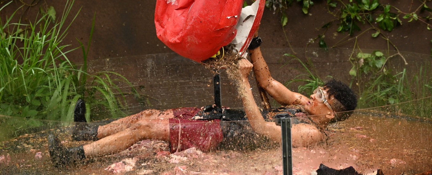 Quoten: Dschungel-Finale mit Staffel-Rekord – RTL lässt Samstags-Konkurrenz weit hinter sich – Bild: TVNOW/​Stefan Menne