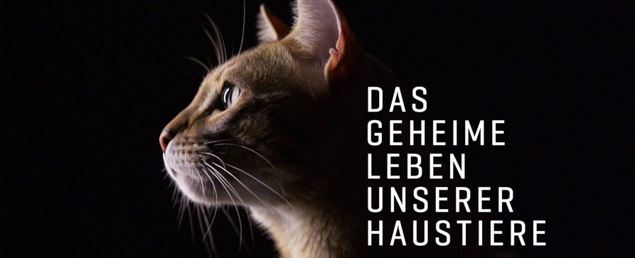 VOX erforscht „Das geheime Leben unserer Haustiere“ – Neue Tierdokureihe am Samstagvorabend – Bild: TVNOW