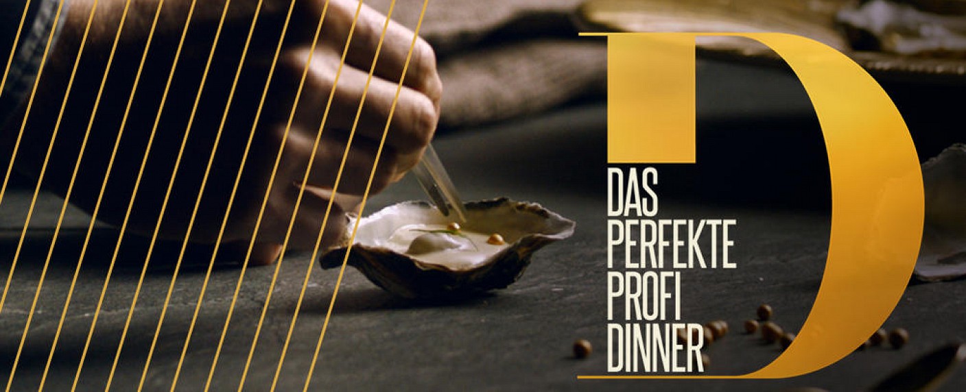 Vox Profi Dinner Vox Profi Dinner