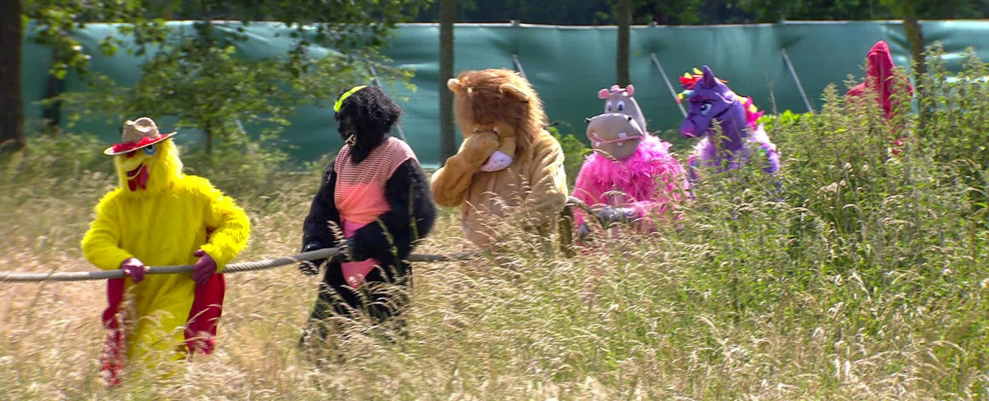 Quoten: „Sommerhaus“ knackt 20-Prozent-Hürde und gewinnt Duell gegen Schwein Paul – „Oktoberfest 1900“ endet durchwachsen, „Die Wollnys“ mit enormen Problemen – Bild: TVNOW